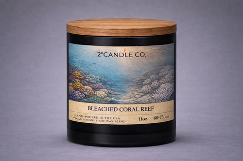 Bleached Coral Reef - 11oz